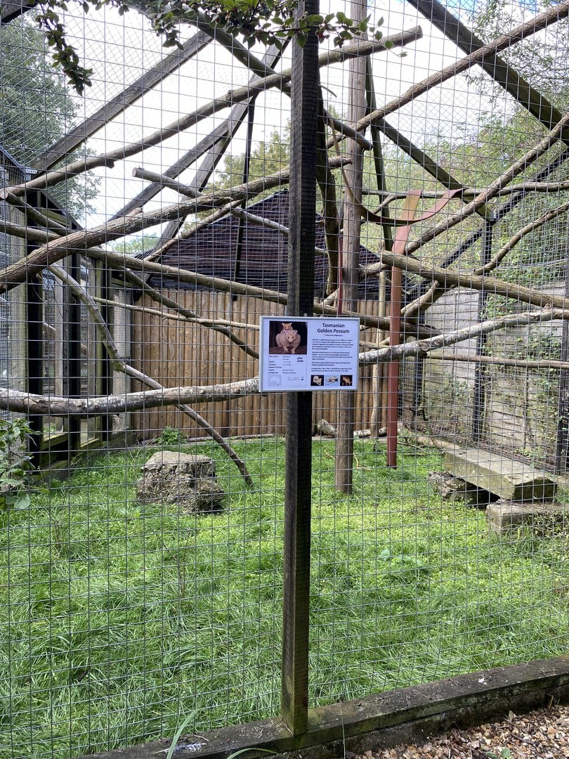 Hamerton golden possum enclosure near the entrance