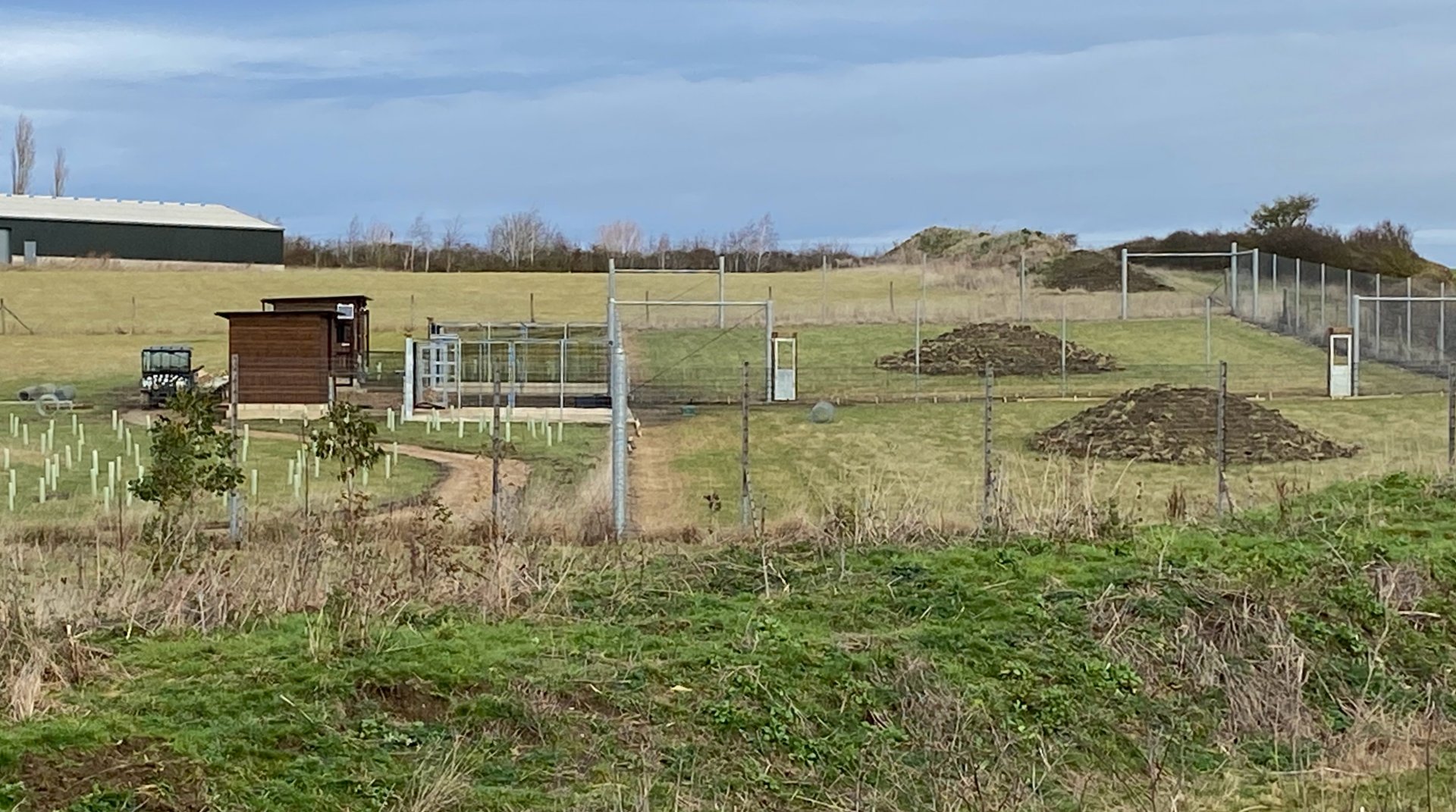Hamerton, new enclosure and planting