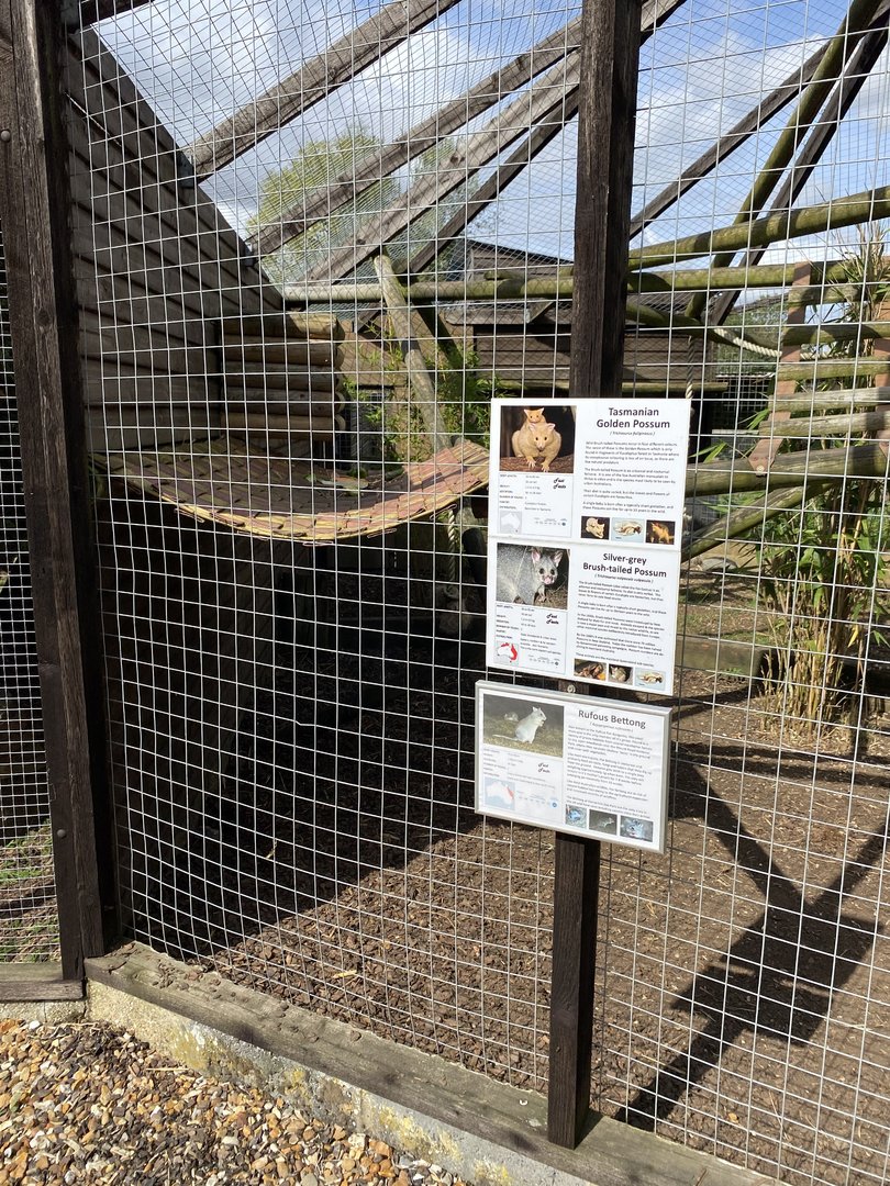 Hamerton new location for rufous bettong with possums