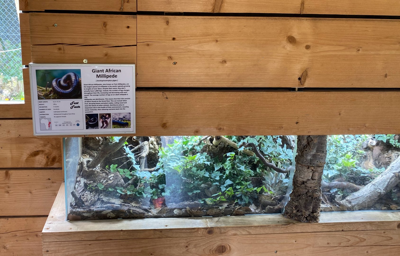 Hamerton reptile house signage, August 2024