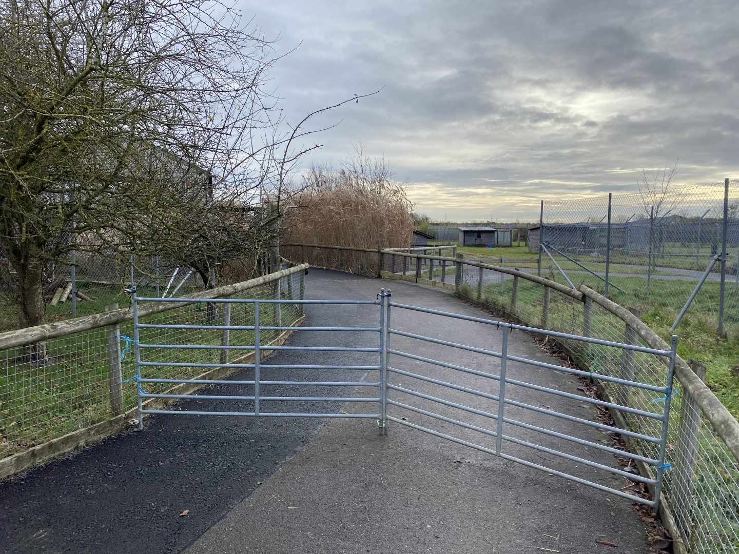 Hamerton, temporary fencing back at the Hyena enclosure