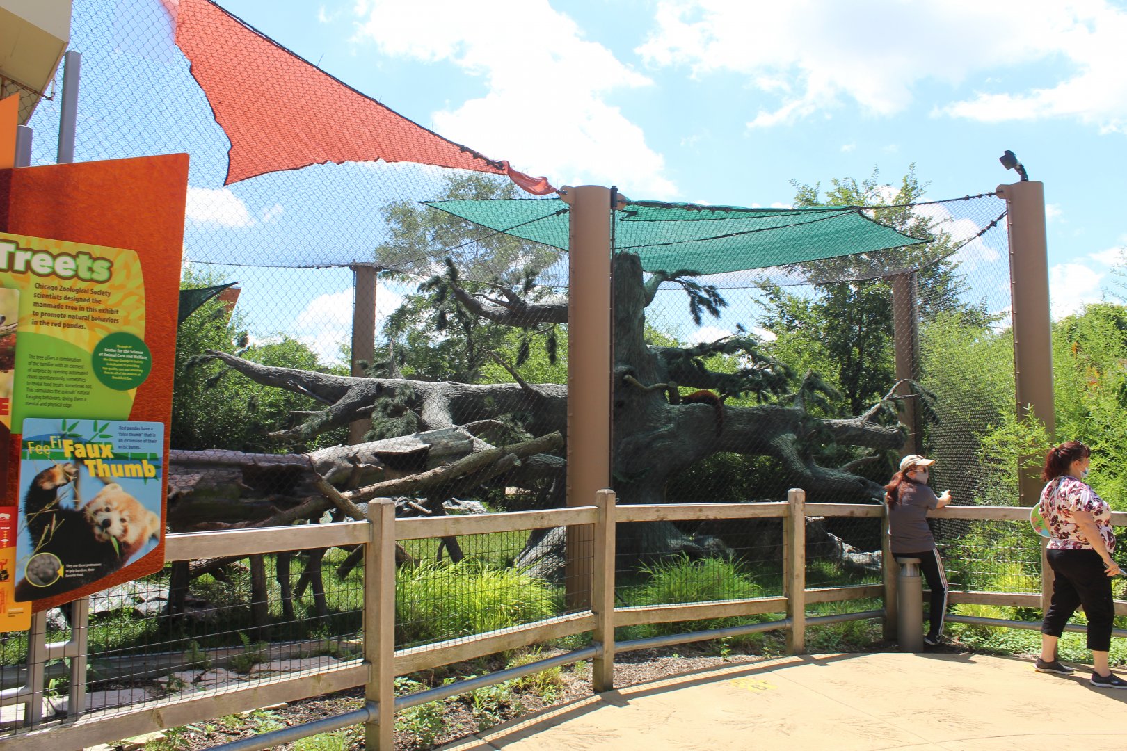 Hamil Family Wild Encounters - Red Panda Exhibit