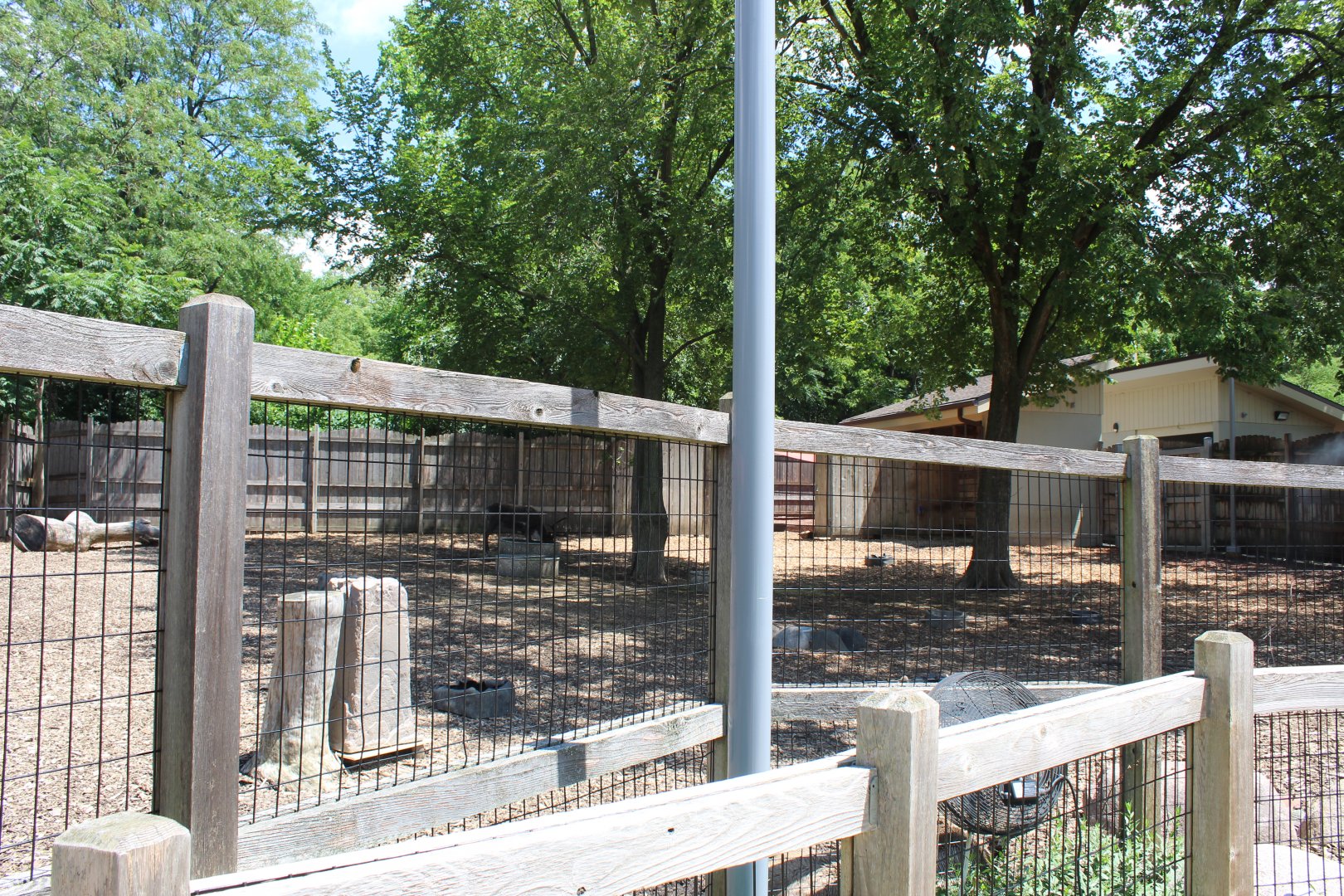 Hamil Family Wild Encounters - Reindeer Exhibit