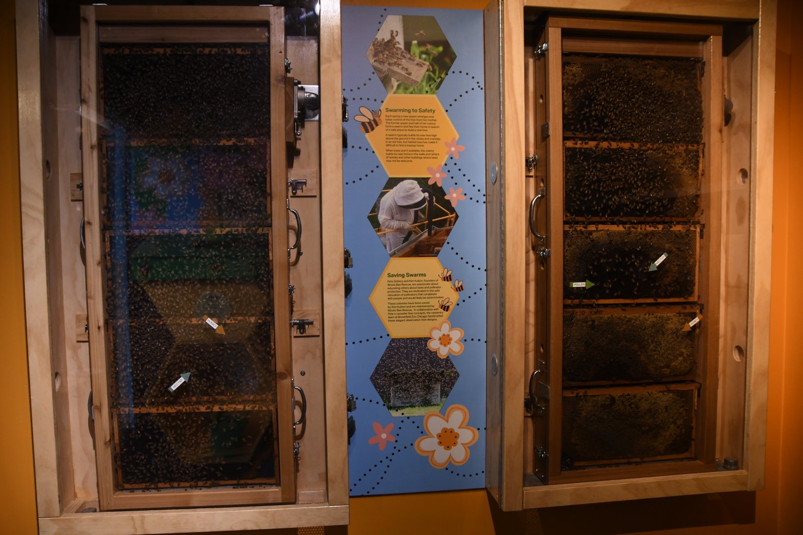 Hamill Family Play Zoo - Honey Bees