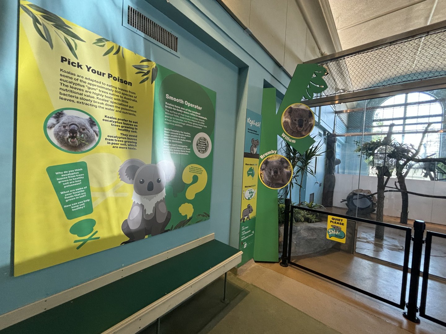 Hamill Family Play Zoo - Indoor Koala Exhibit & Signage