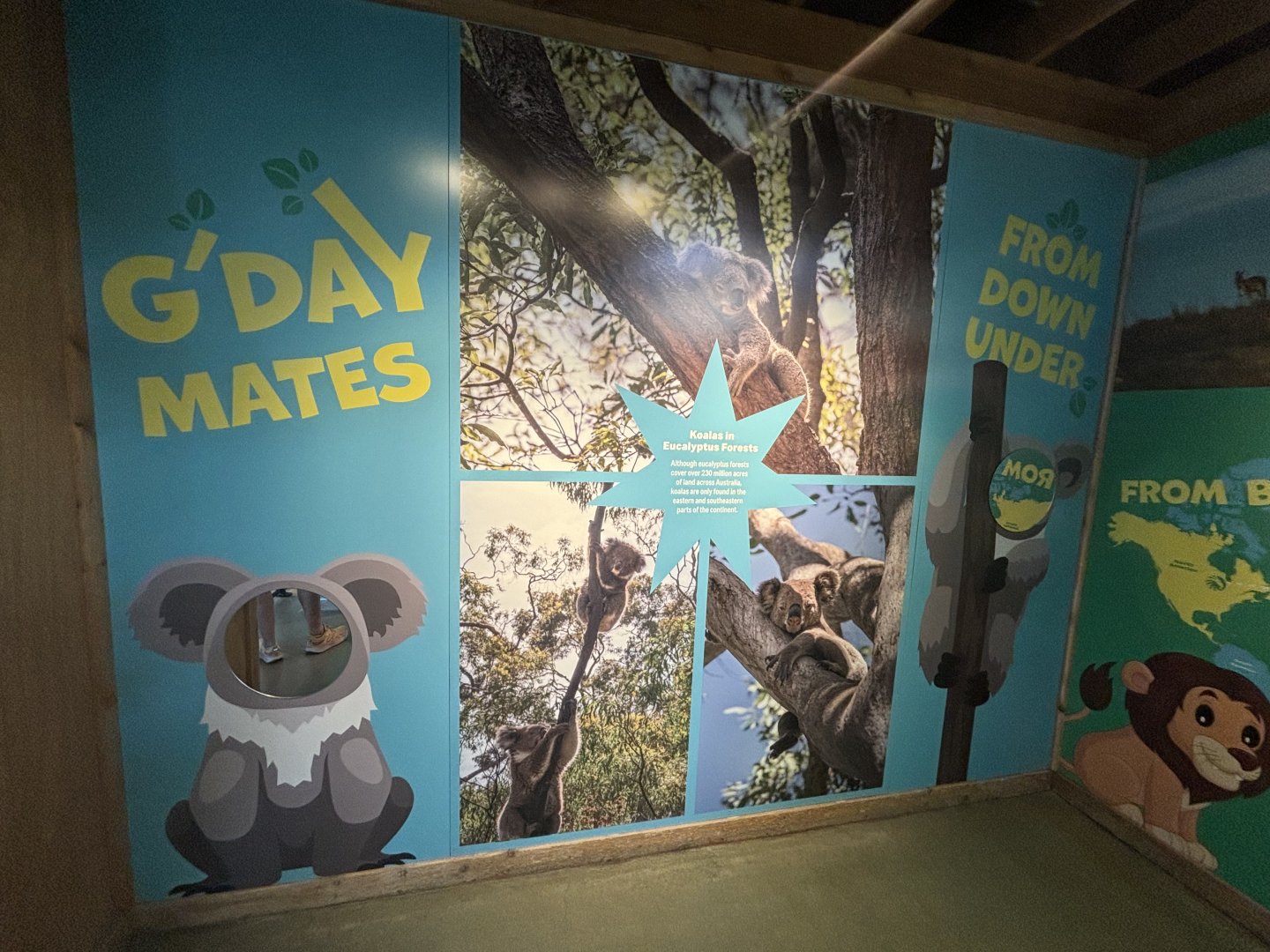 Hamill Family Play Zoo - Indoor Koala Exhibit Signage