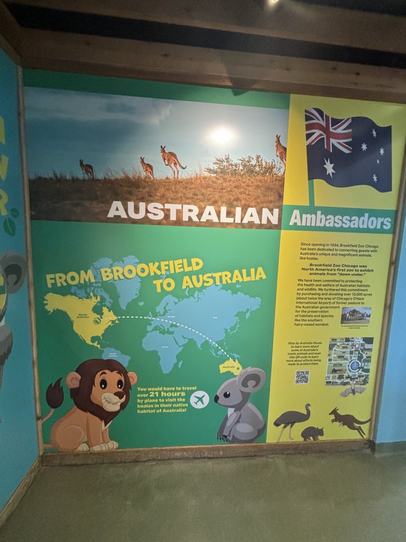 Hamill Family Play Zoo - Indoor Koala Exhibit Signage