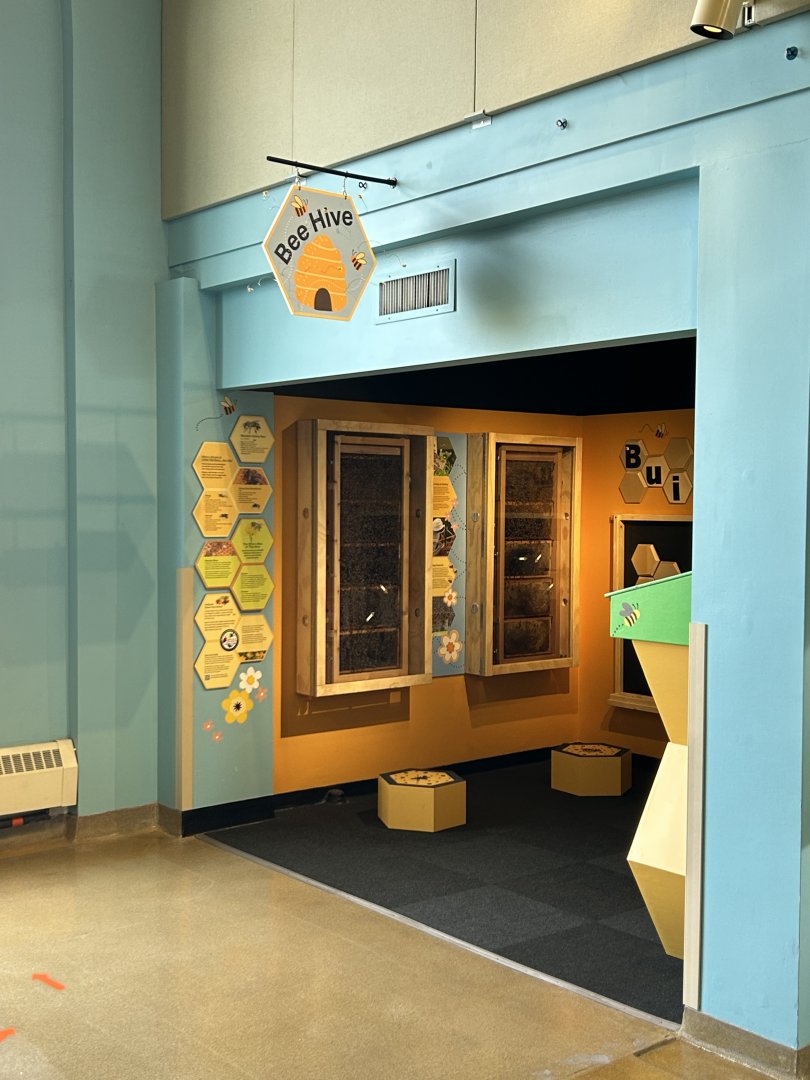 Hamill Family Play Zoo- new bee exhibit