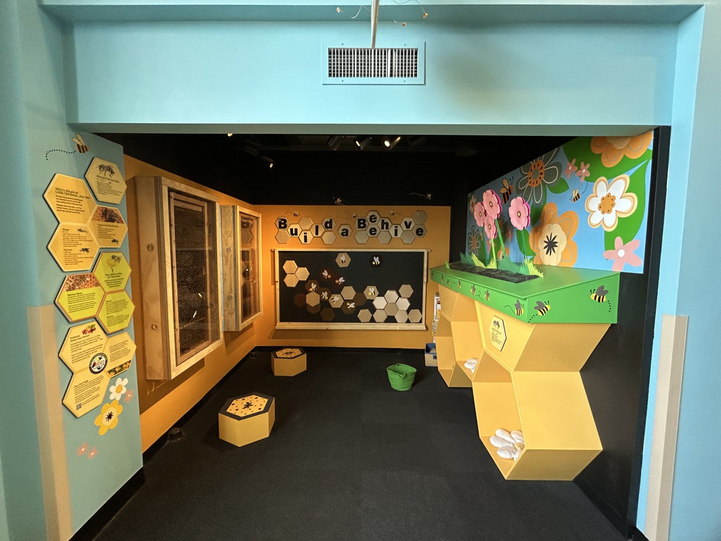 Hamill Family Play Zoo- new bee exhibit