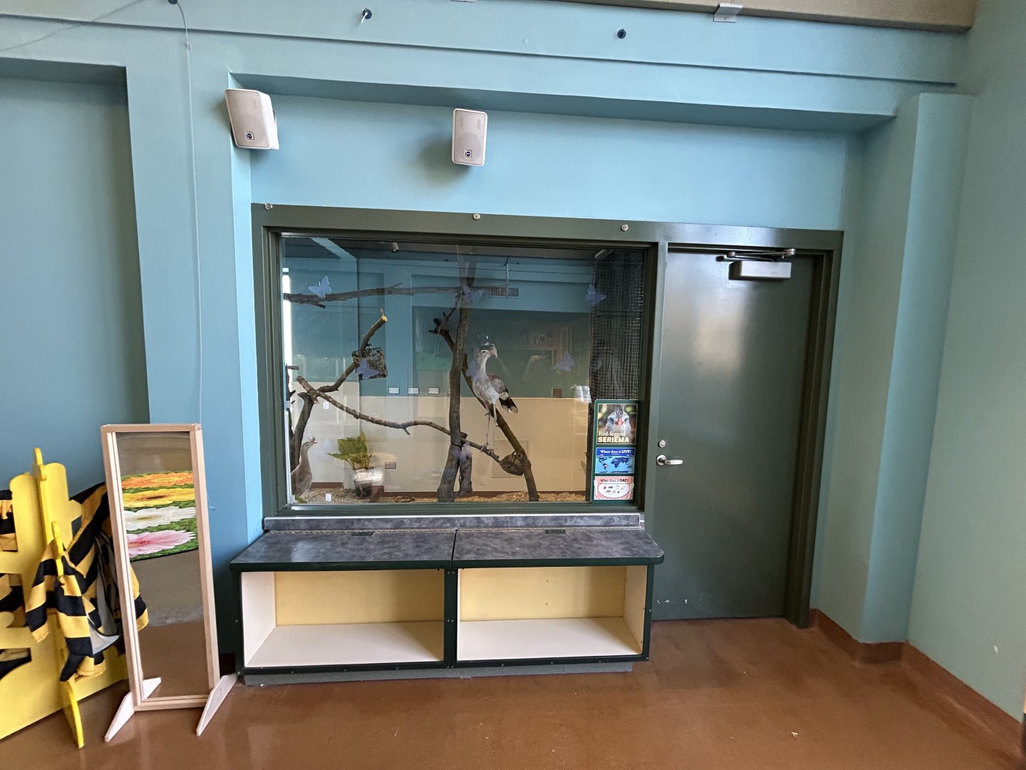 Hamill Family Play Zoo- new indoor Red-legged Seriema exhibit.