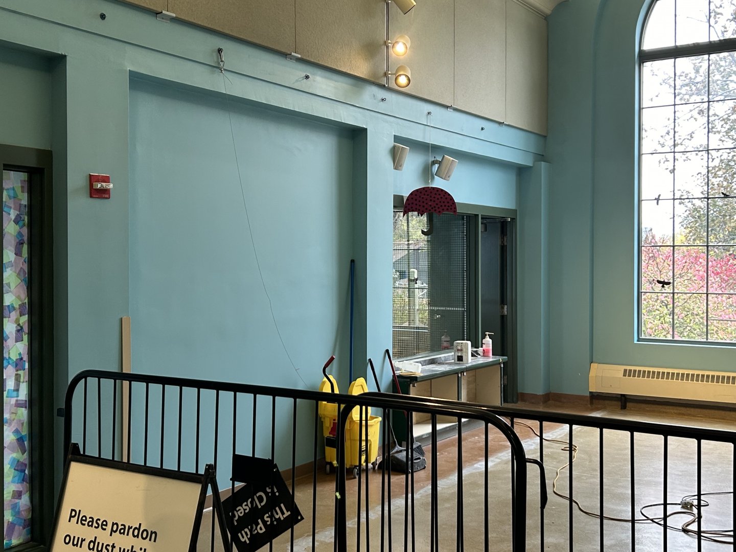 Hamill Family Play Zoo- reworked area.