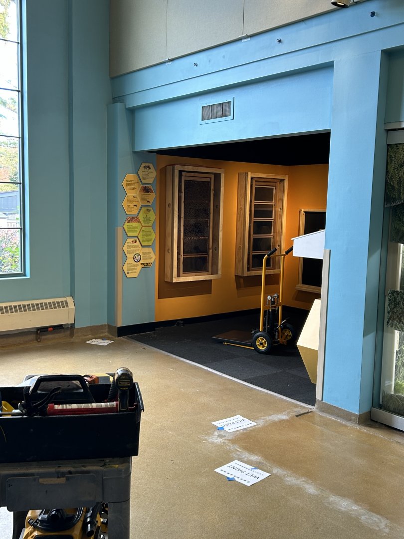 Hamill Family Play Zoo- upcoming Bee exhibit