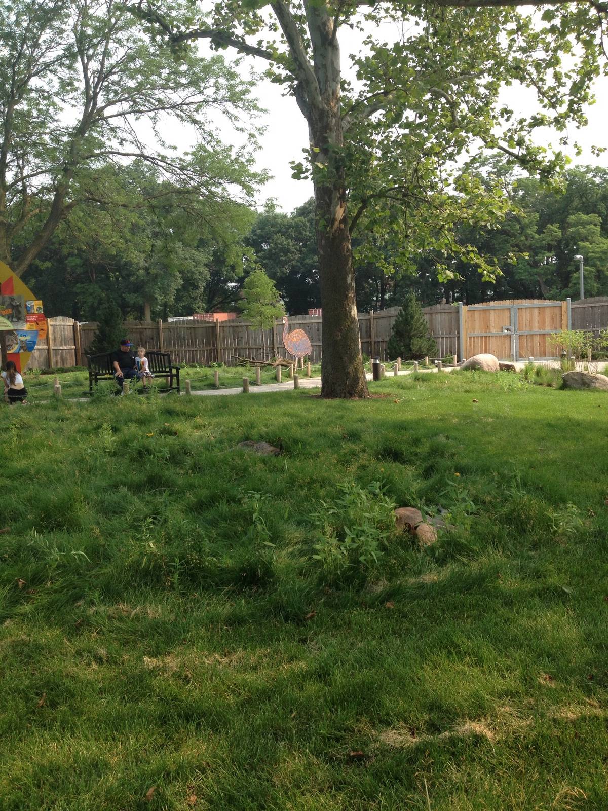 Hamill Family Wild Encounters- Wallabies and Emu