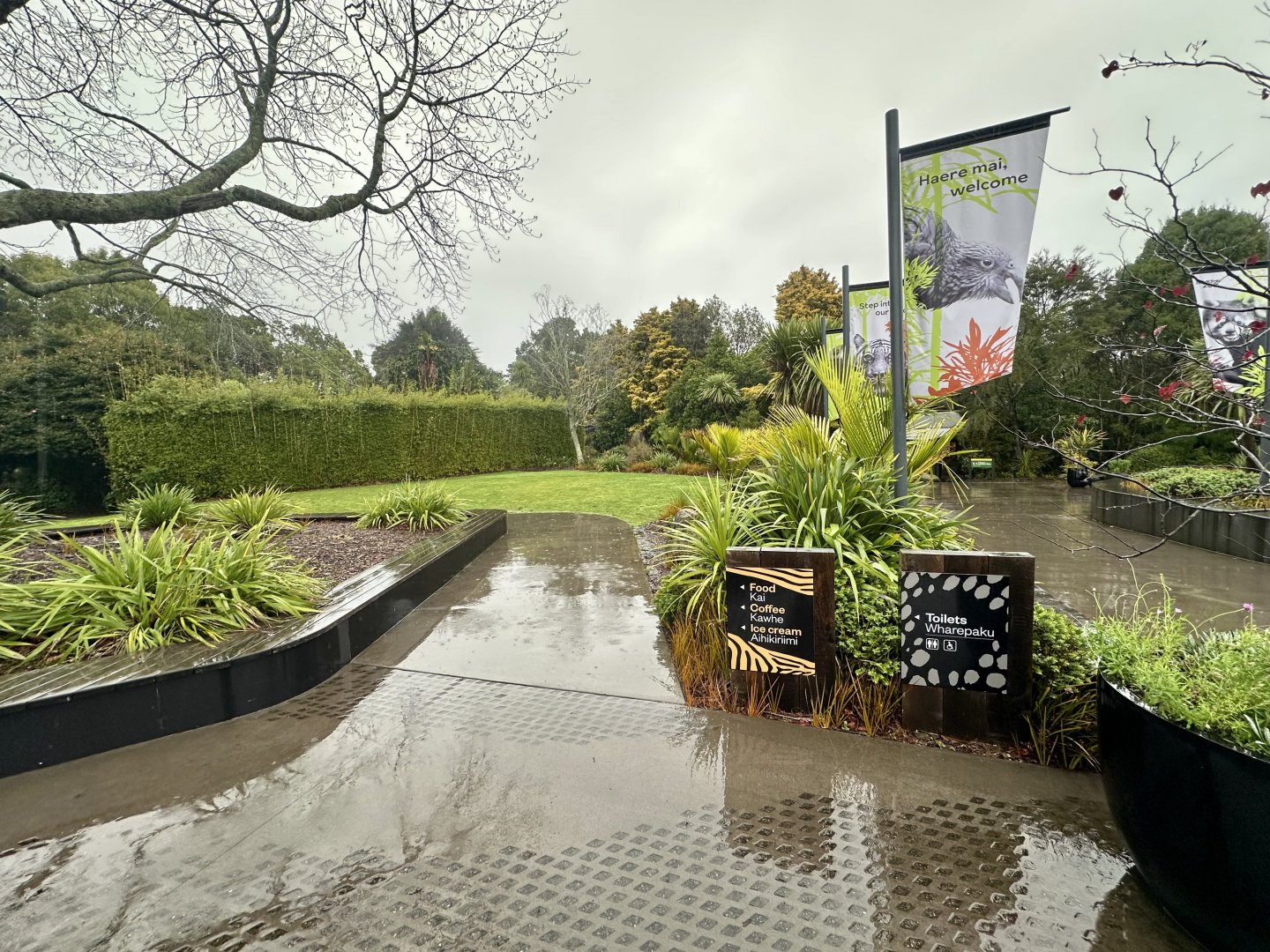 Hamilton Zoo - Entry Precinct (Lawn)