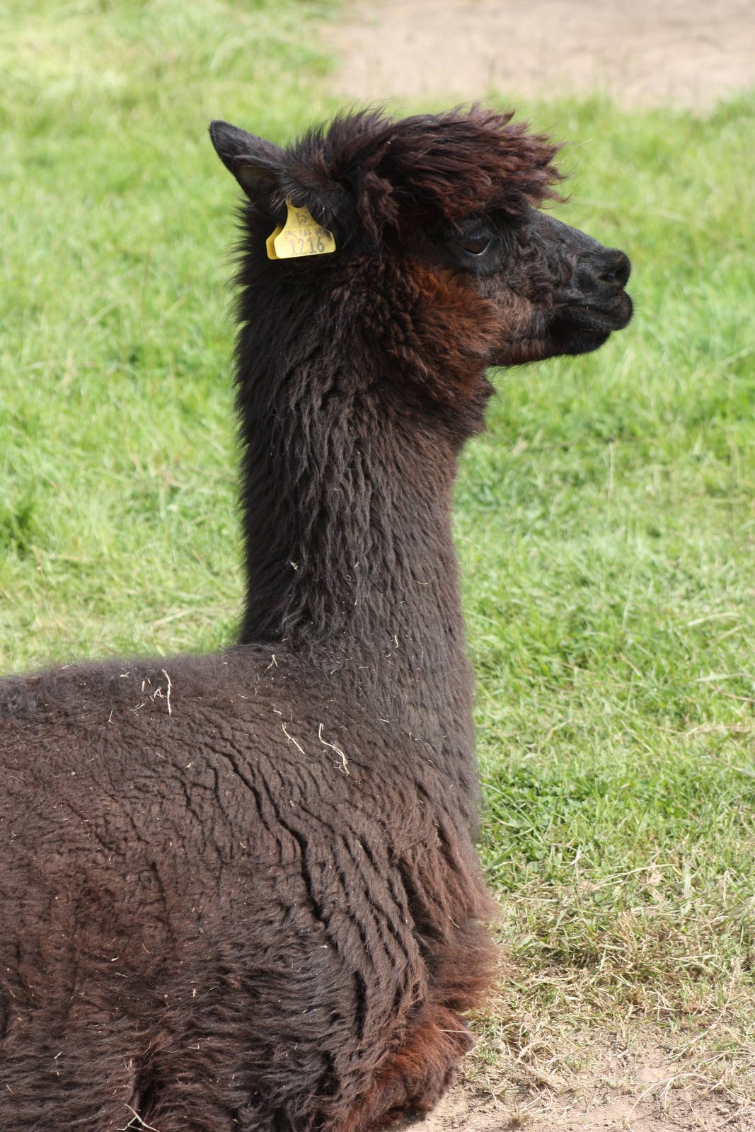 Hamish, 19th June 2014