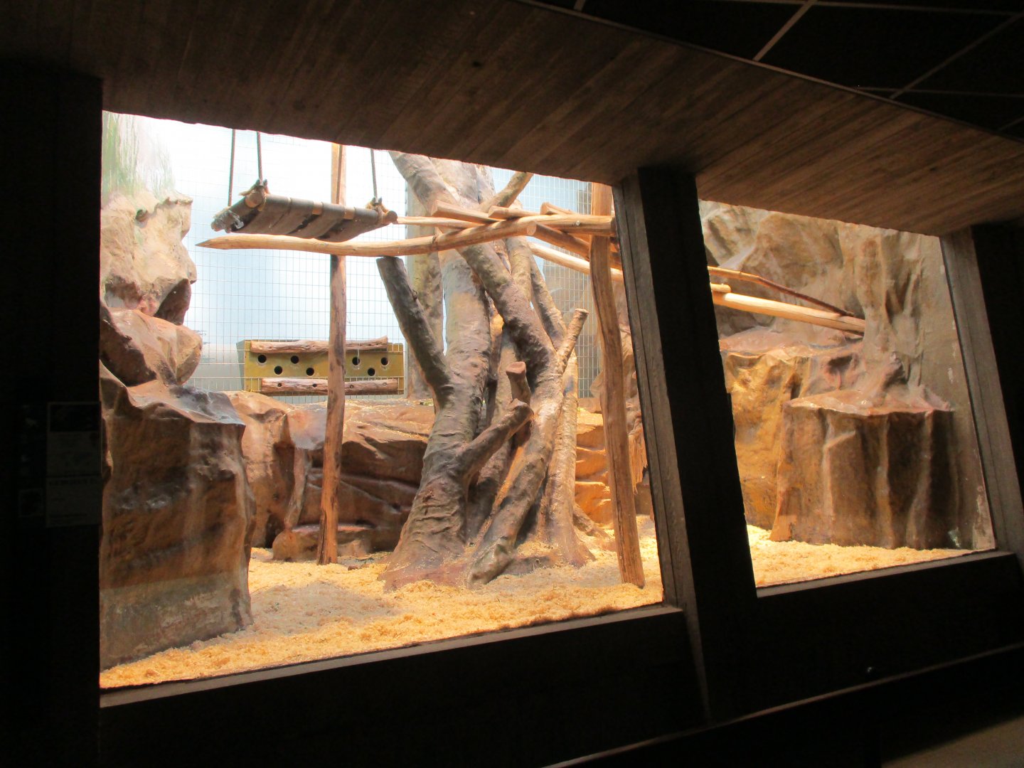 Hamlyn's monkey enclosure