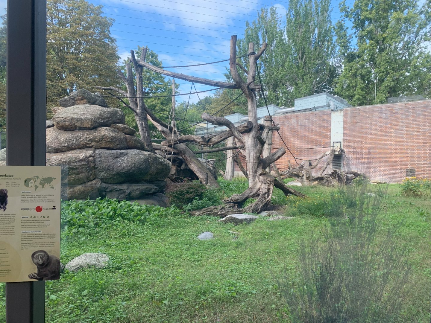 Hamlyn's Monkey enclosure