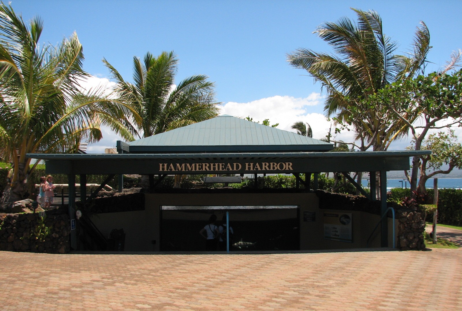 Hammerhead Harbor