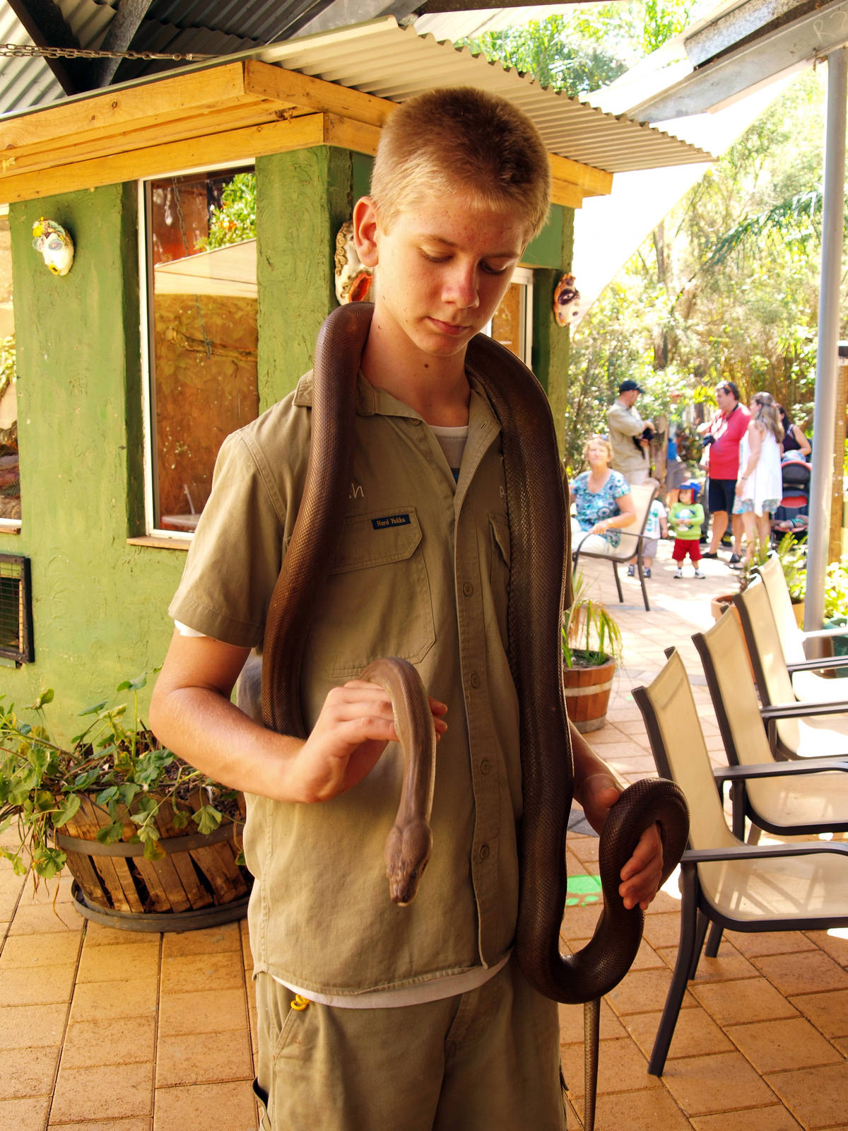 Handler with Olive python