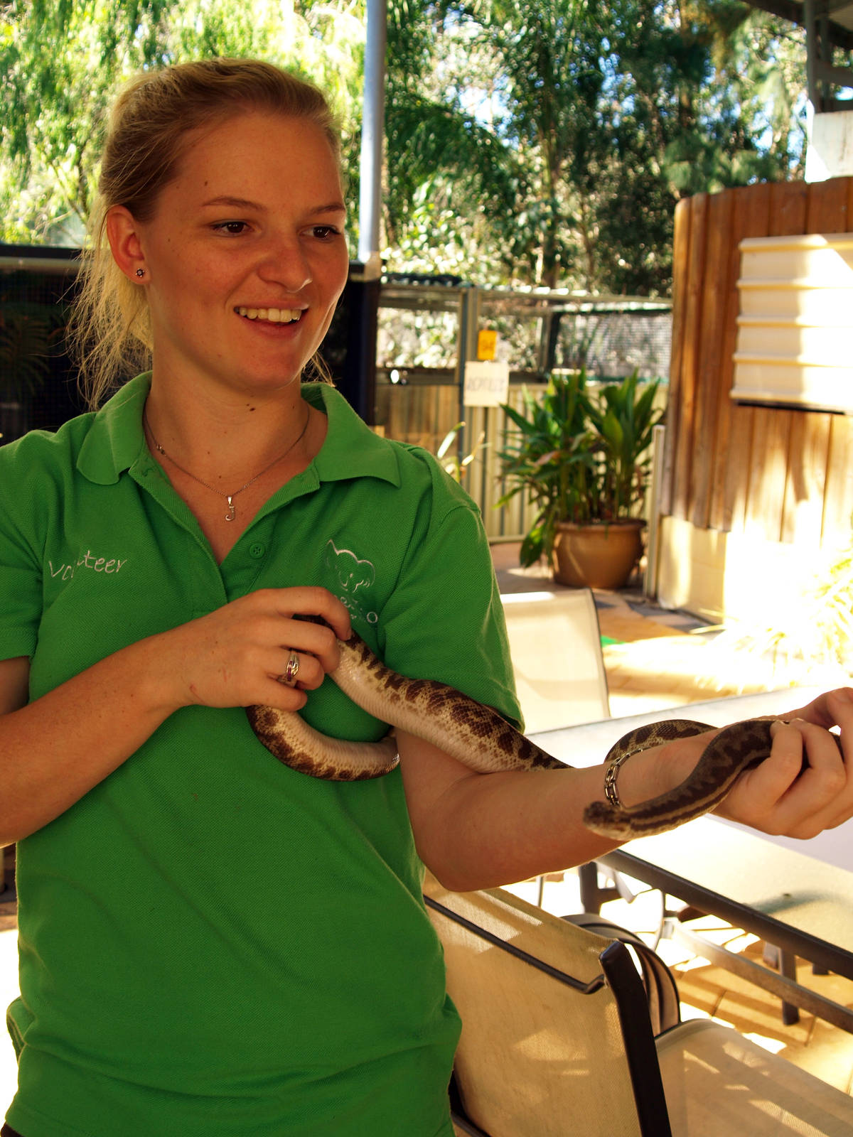 Handler with Stimson's python