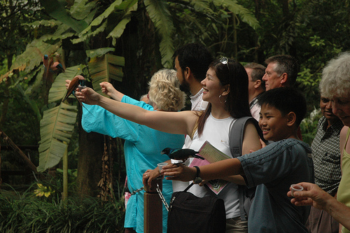 Hands-on feeding, Jurong BirdPark