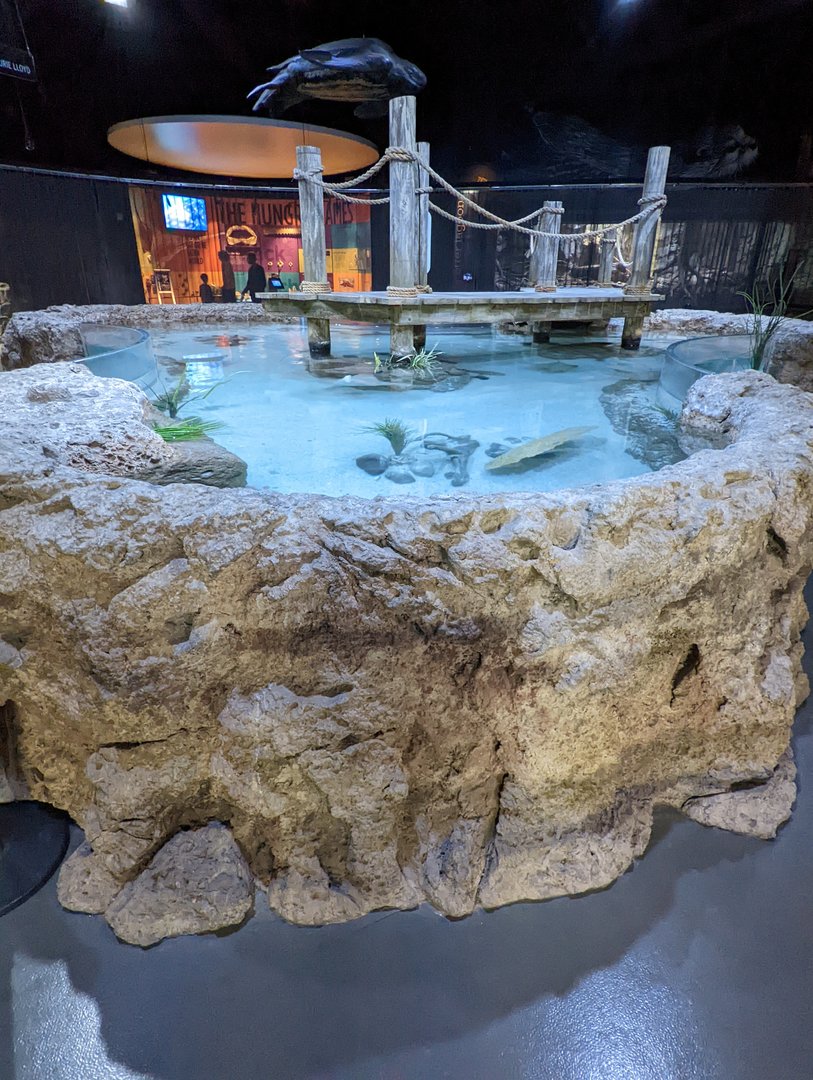 Hands on Harbor at the Greensboro Science Center