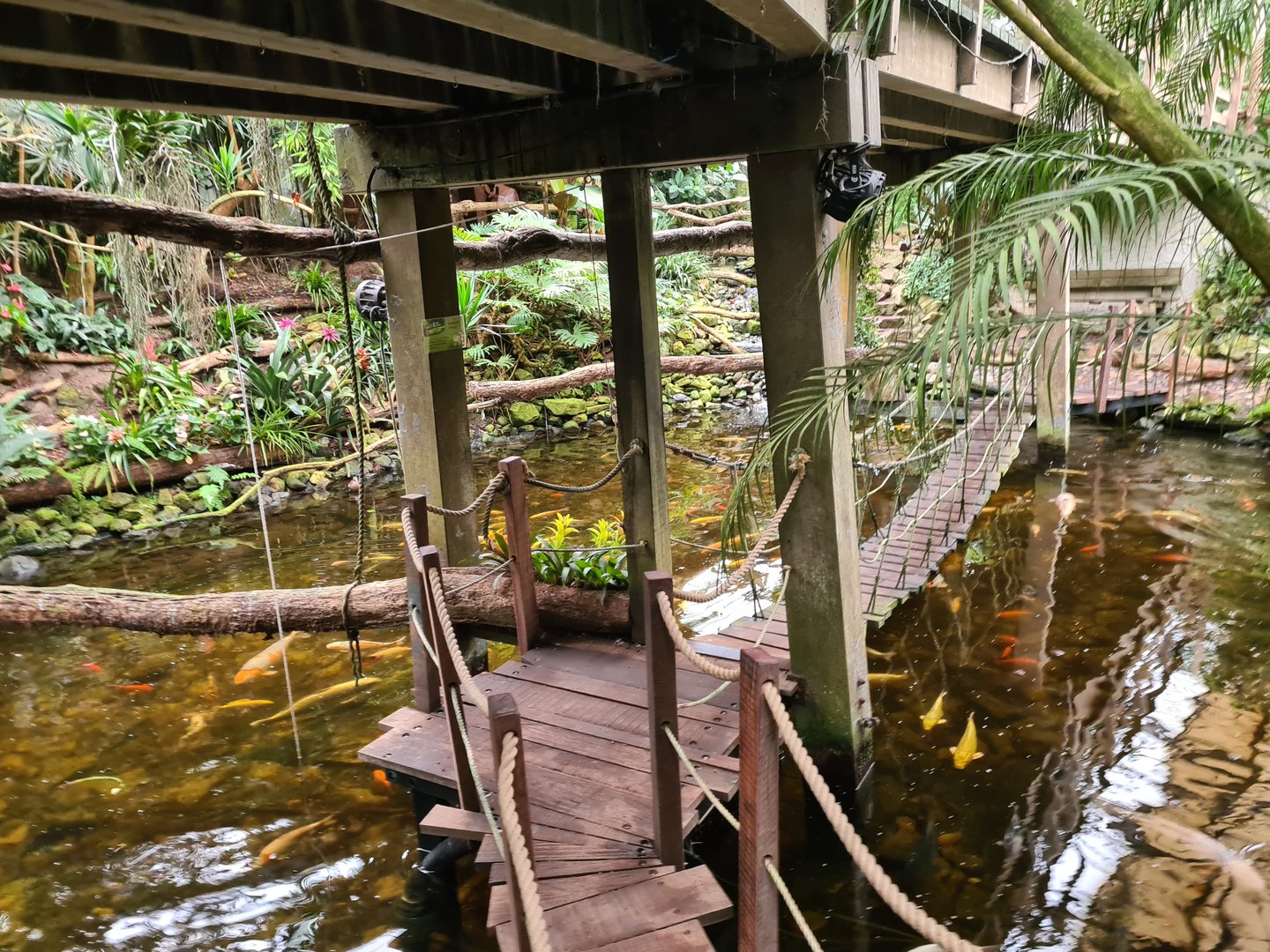 Hanging bridge in "Amazon" hall