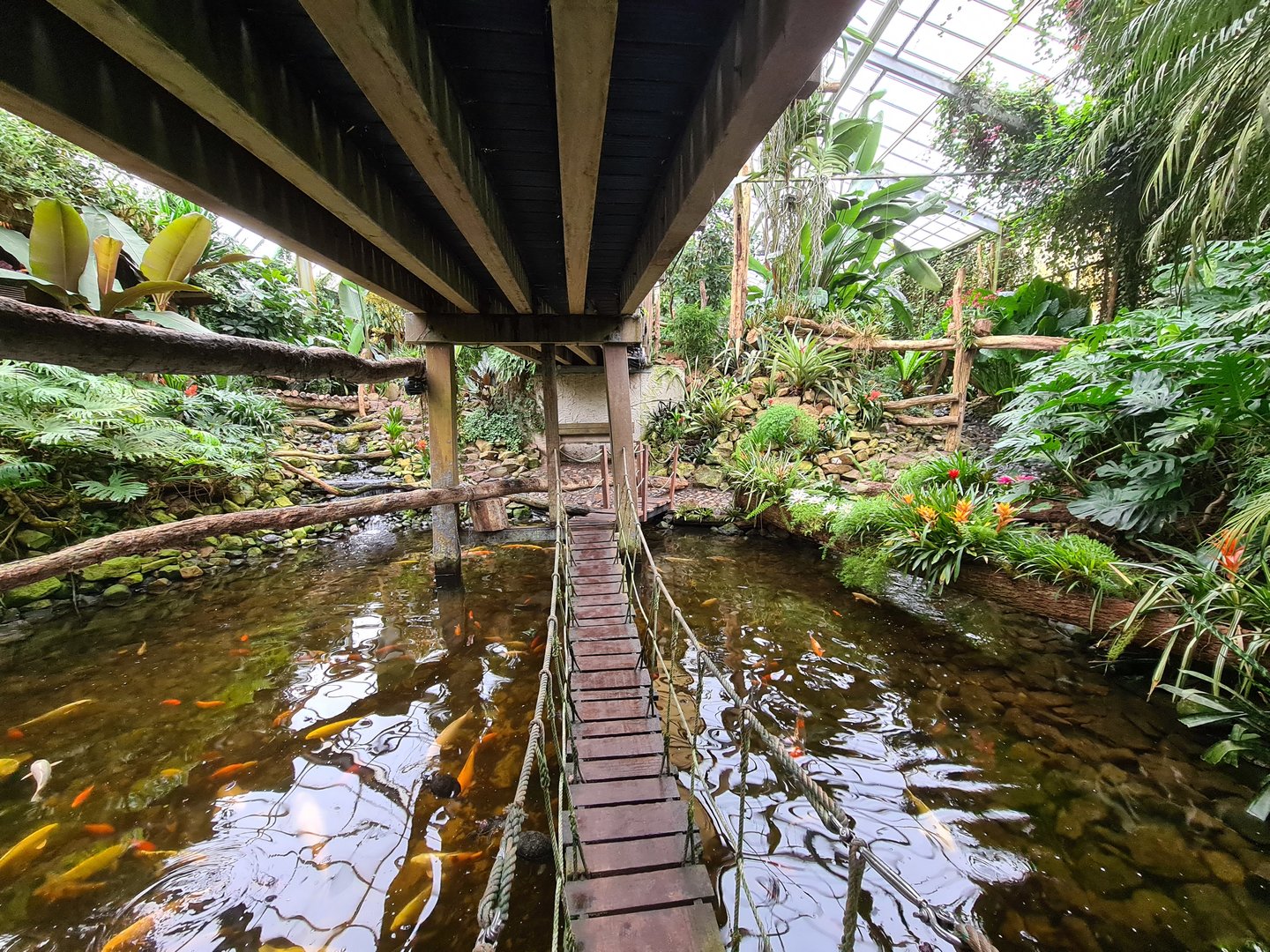 Hanging bridge in "Amazon" hall