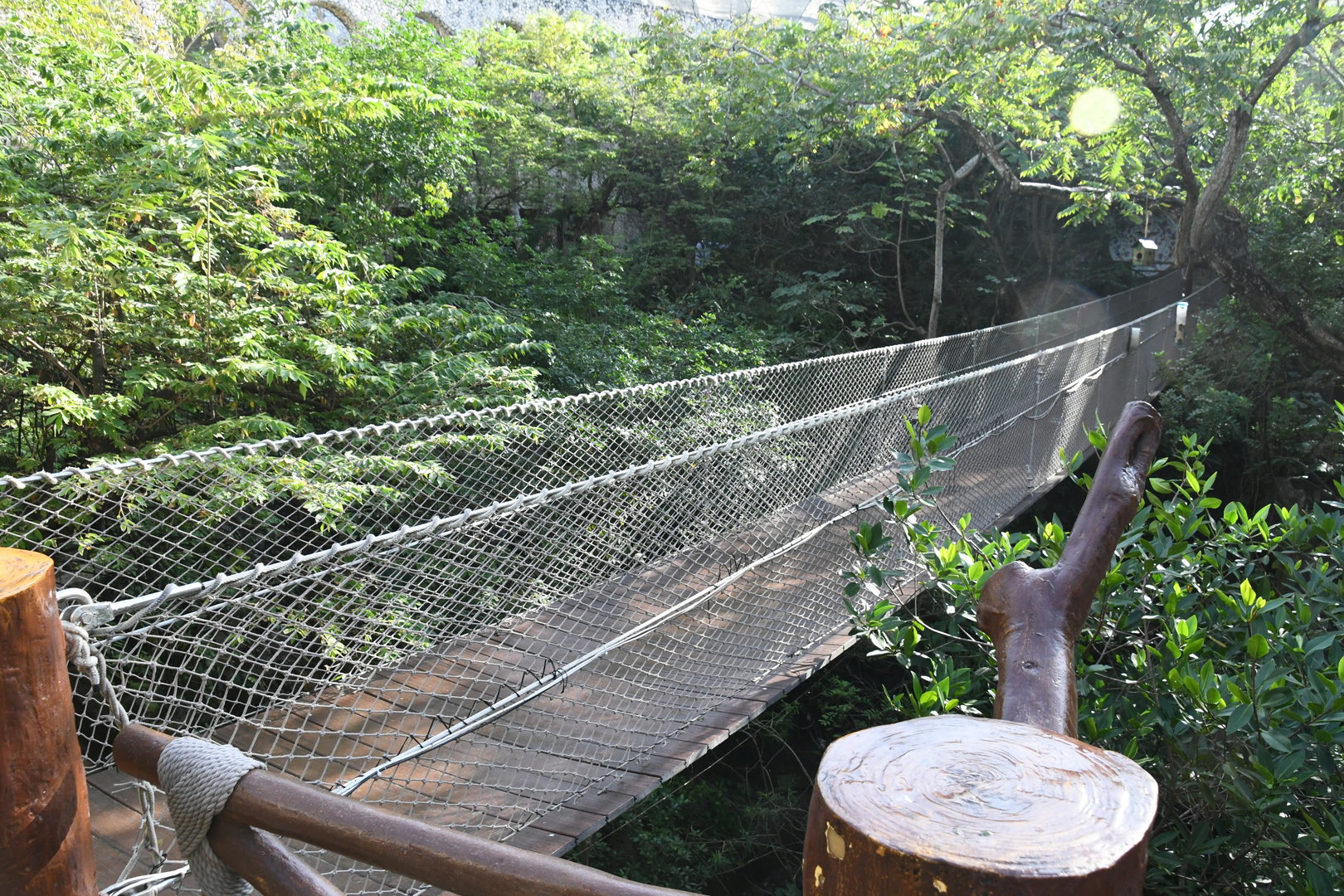 Hanging Bridge in the Aviary