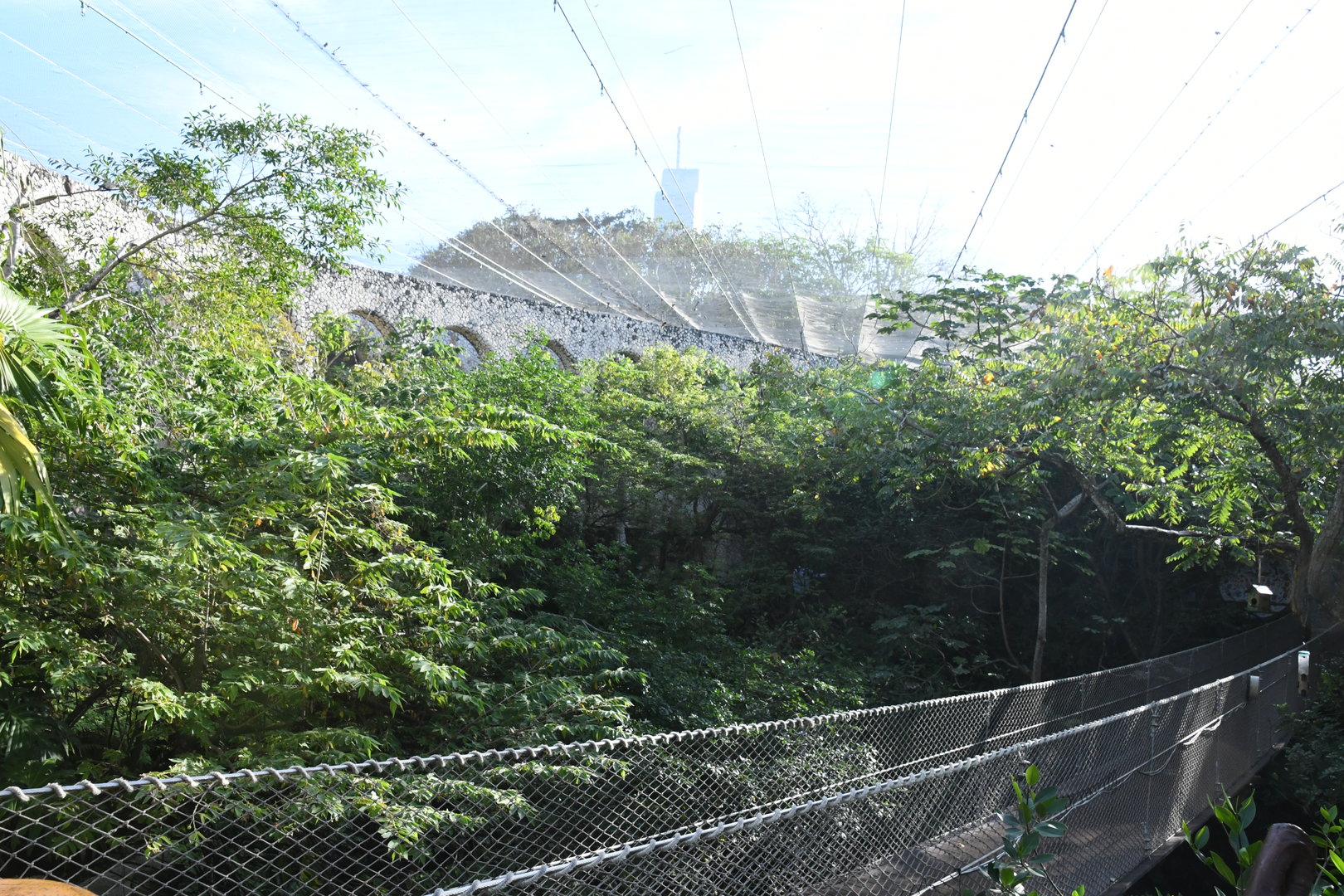 Hanging Bridge in the Aviary