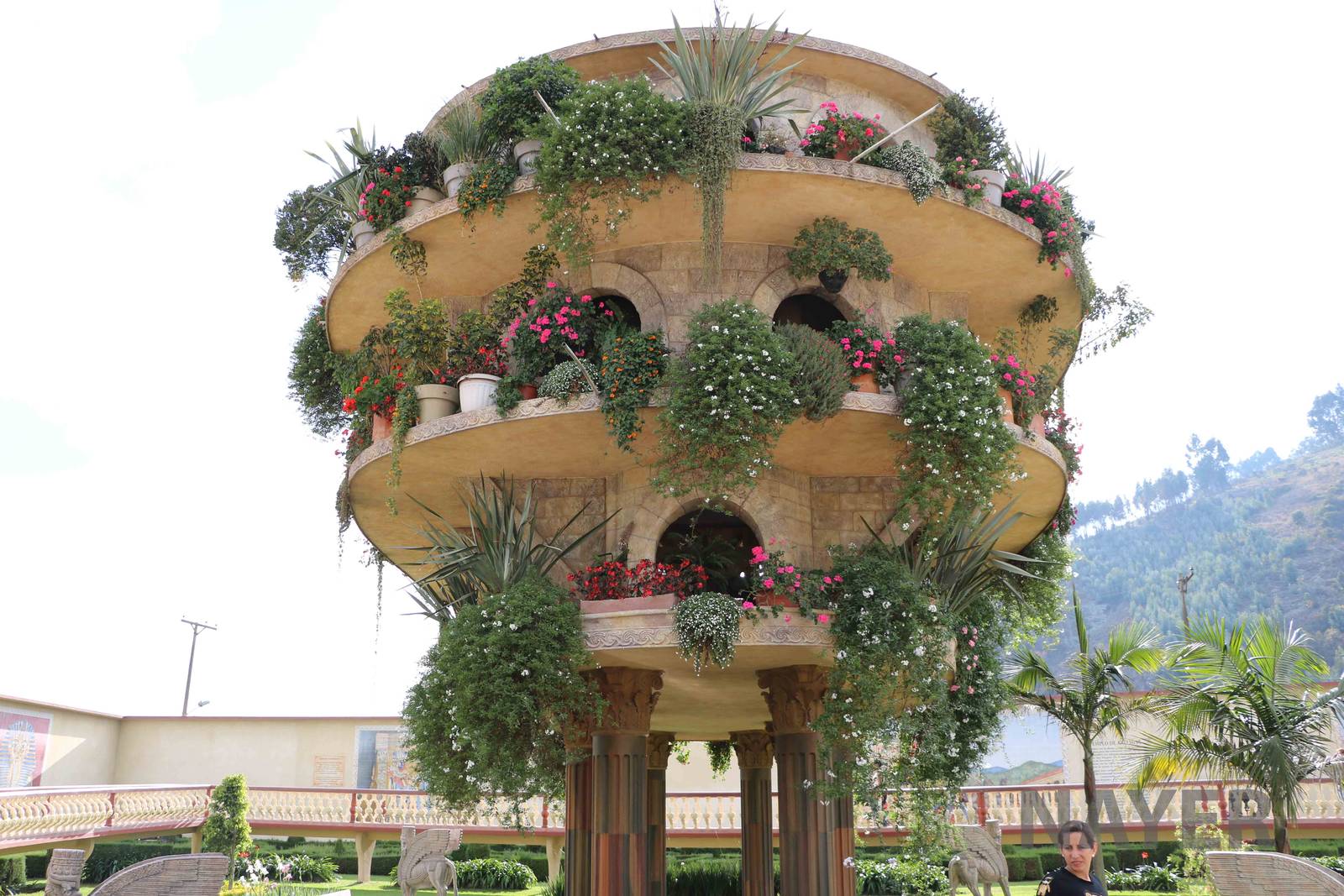 Hanging gardens of Babylon, March 2016