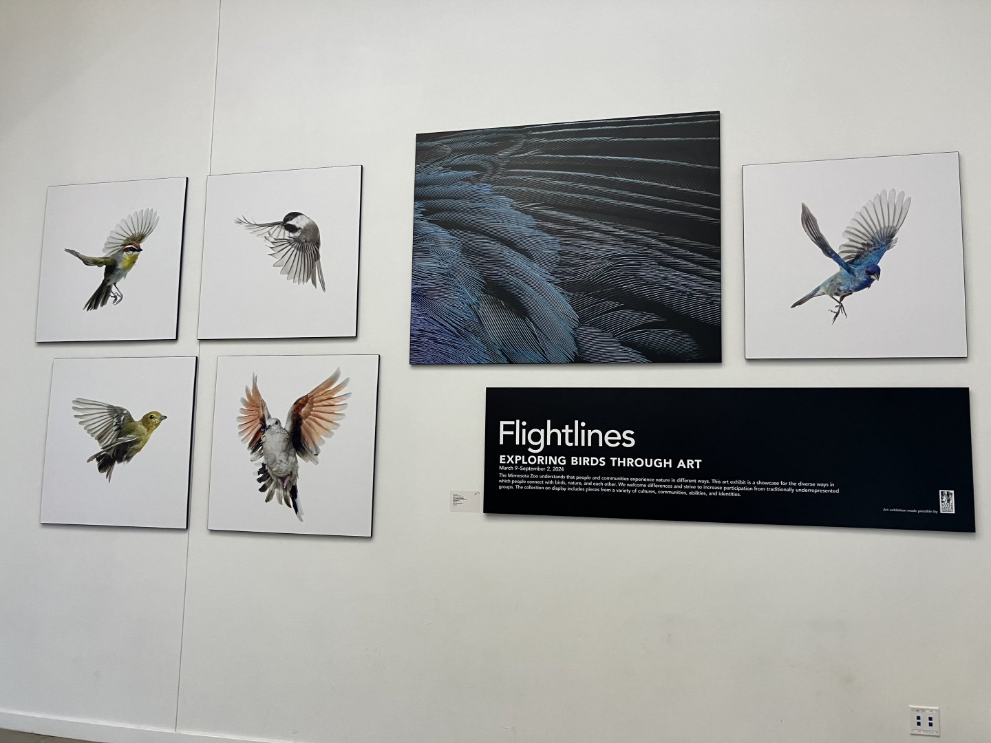 Hanifl Family Nature Center - Flightlines Art Gallery