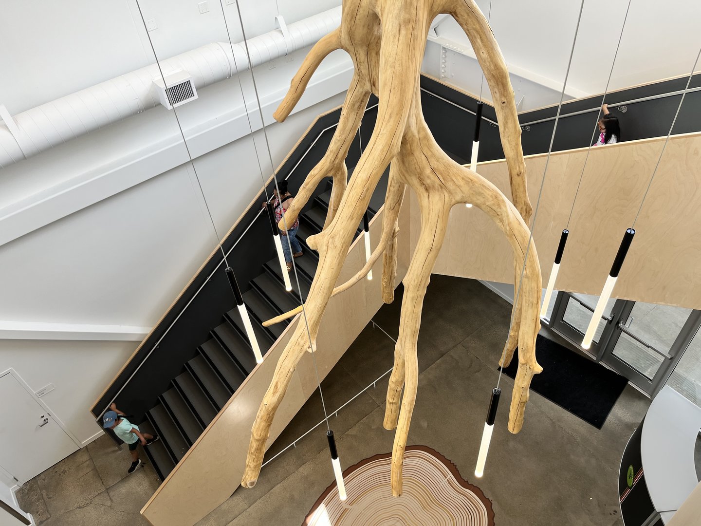 Hanifl Family Nature Center - Root Sculpture