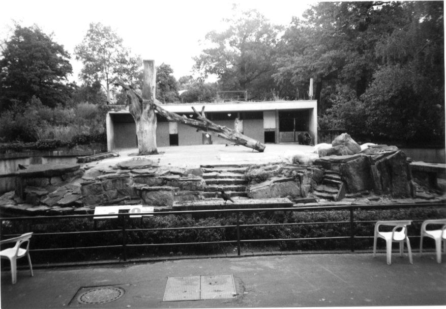 Hannover Bear enclosure 1998