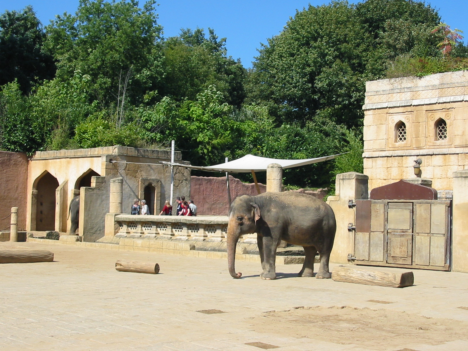 Hannover Zoo 2004 - Asiatic Elephant exhibit