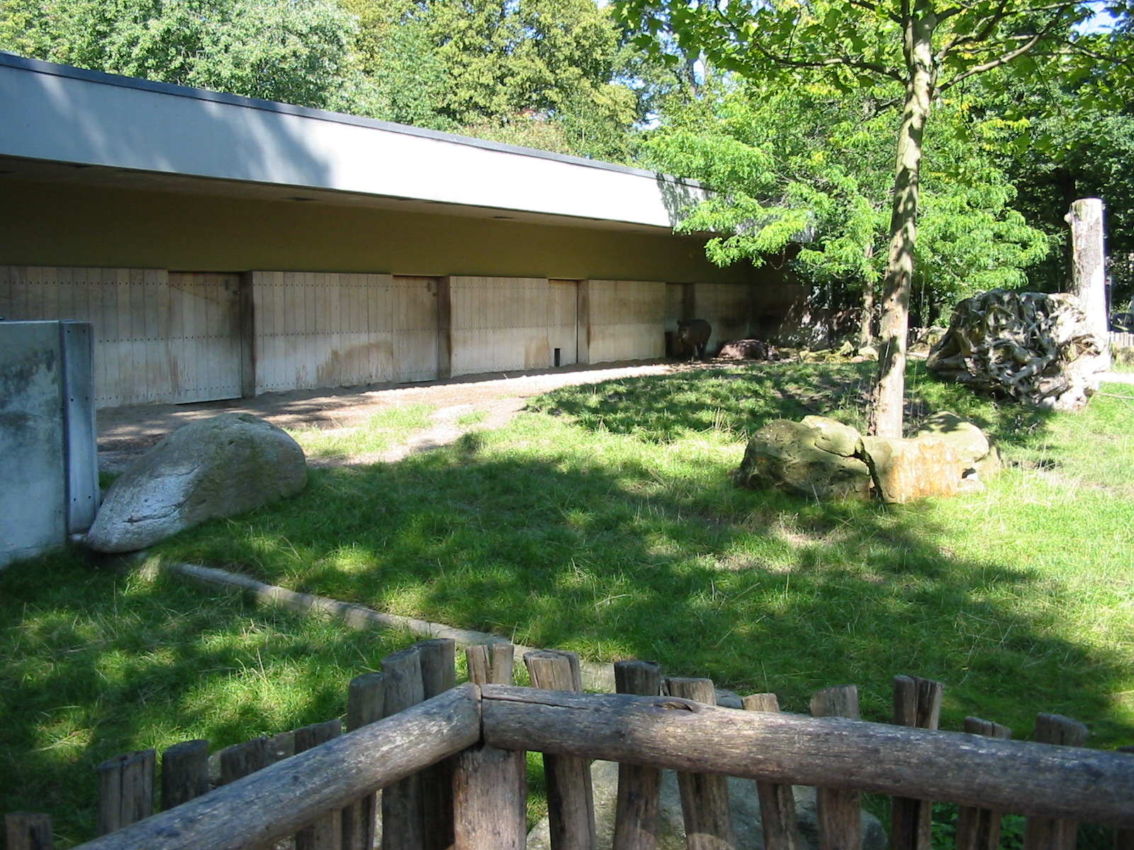 Hannover Zoo 2004 - Brazilian Tapir exhibit