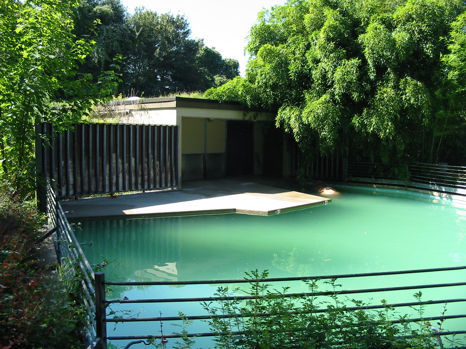 Hannover Zoo 2004 - Old and unsuitable Pacific Walrus pool
