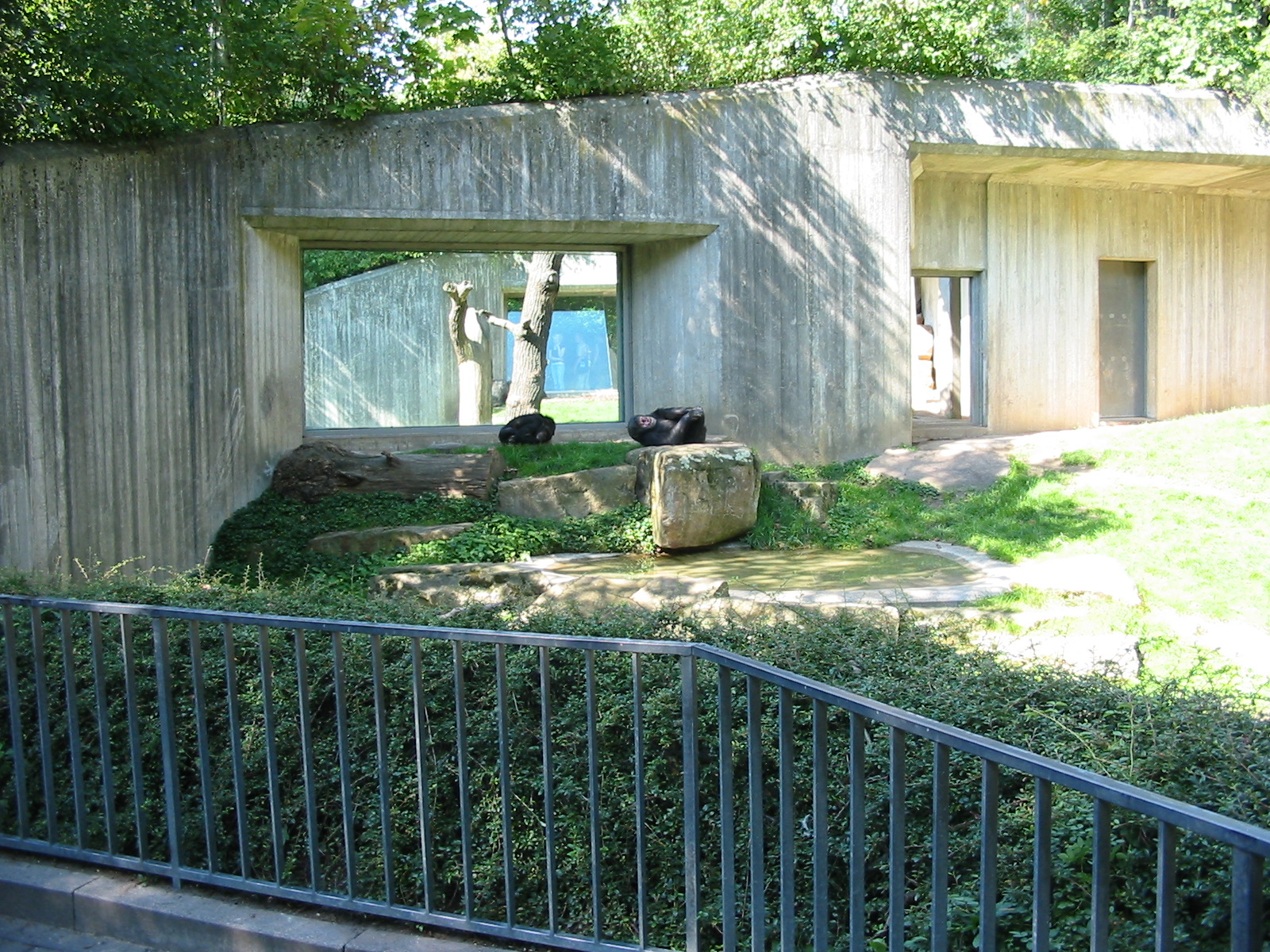 Hannover Zoo 2004 - Old outdoor Chimpanzee exhibit