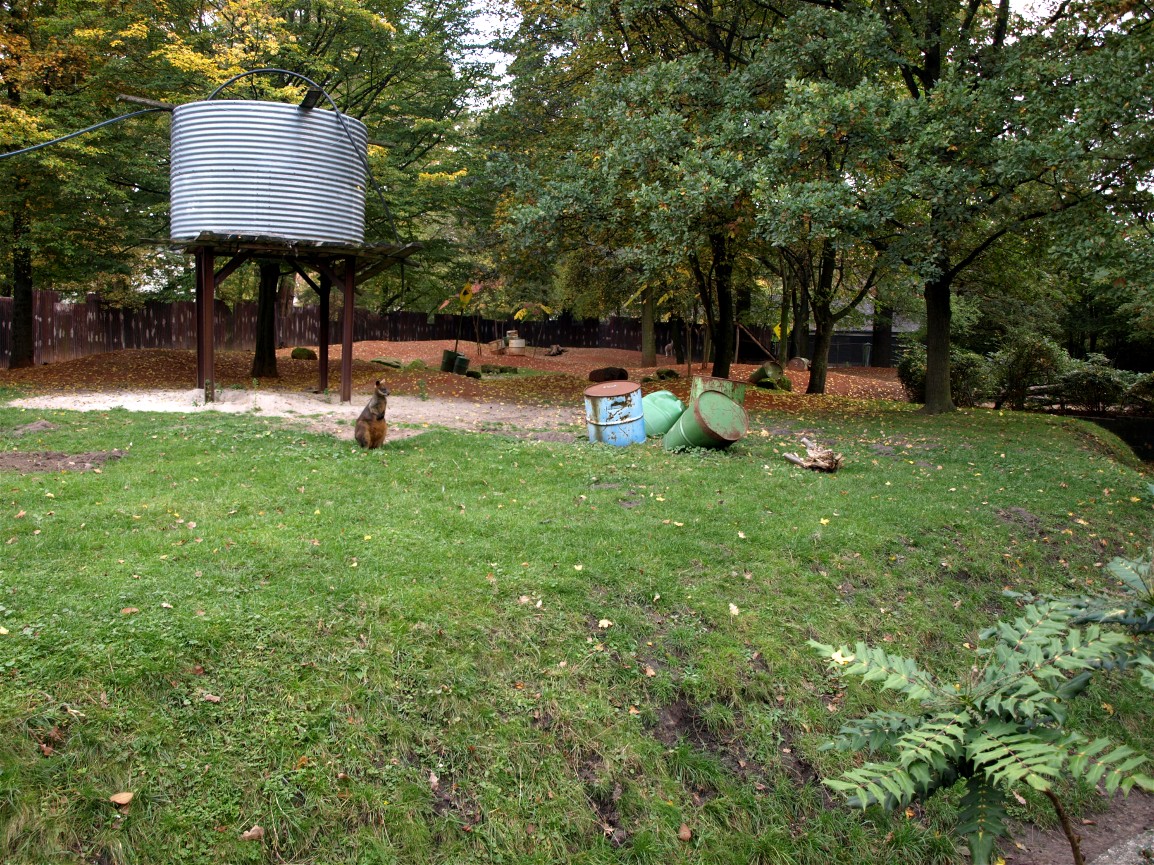 Hannover Zoo - Australia