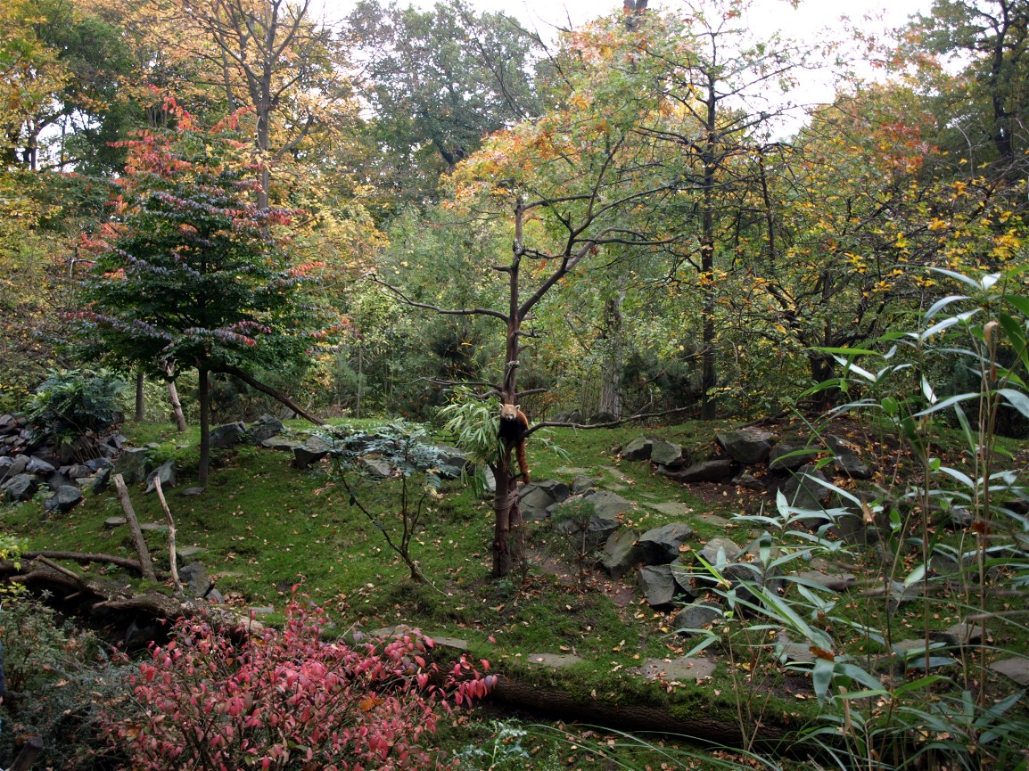 Hannover Zoo - China