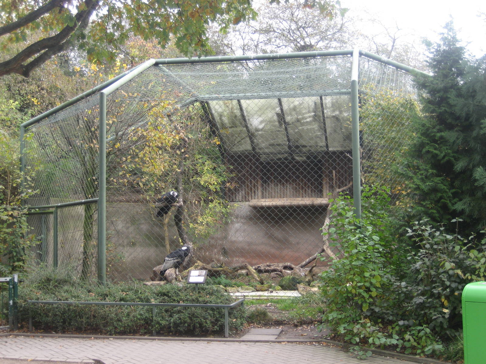 Hannover Zoo - Condor Aviary
