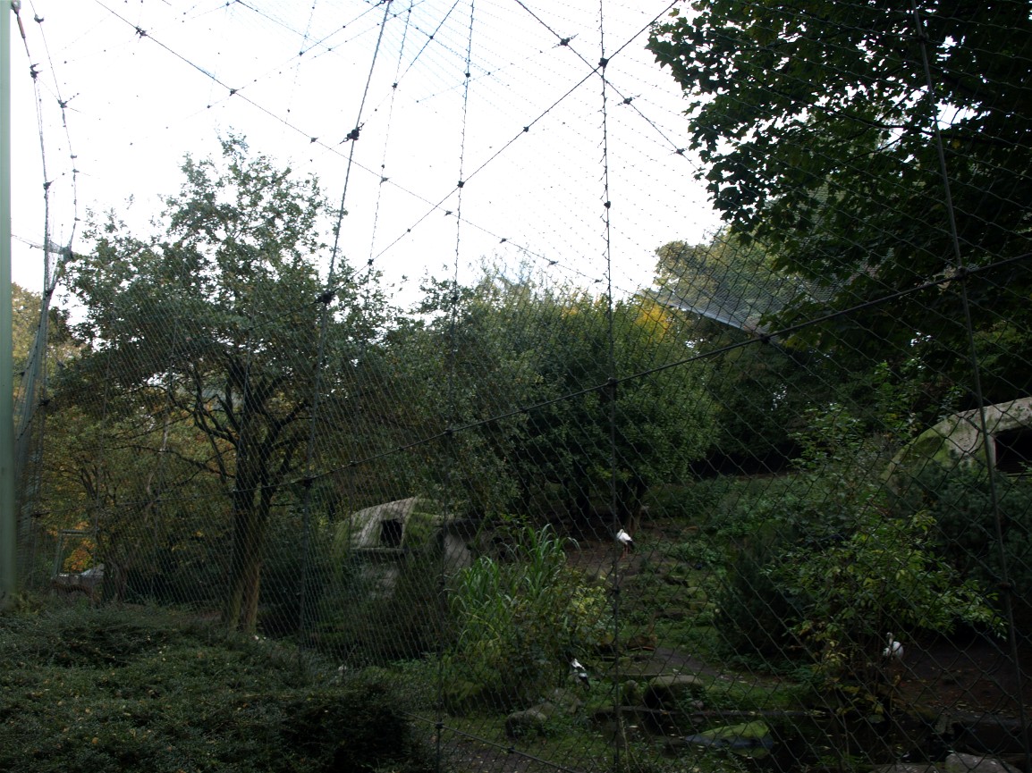 Hannover Zoo - Free-flight aviary