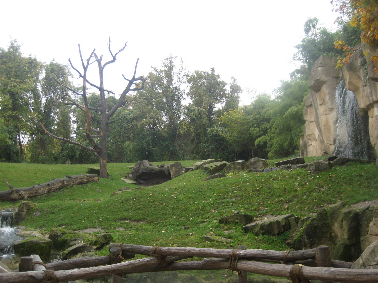 Hannover Zoo - Gorilla mountain