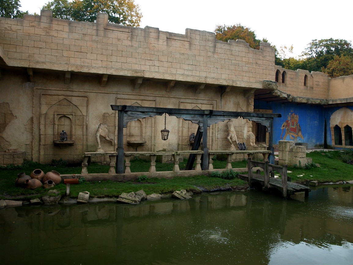 Hannover Zoo - Langur exhibit