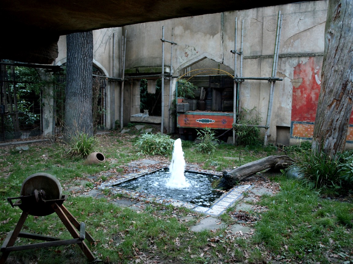 Hannover Zoo - Leopard exhibit