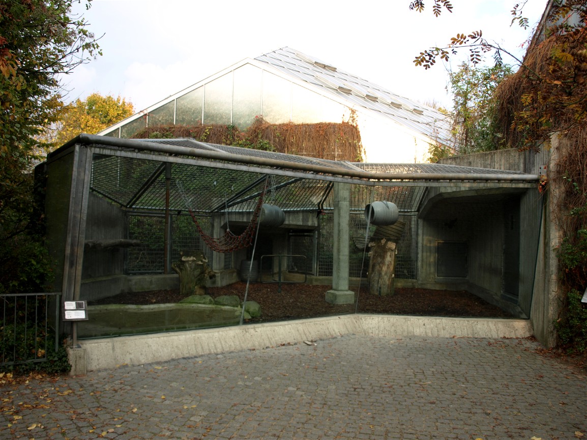 Hannover Zoo - Orangutan exhibit