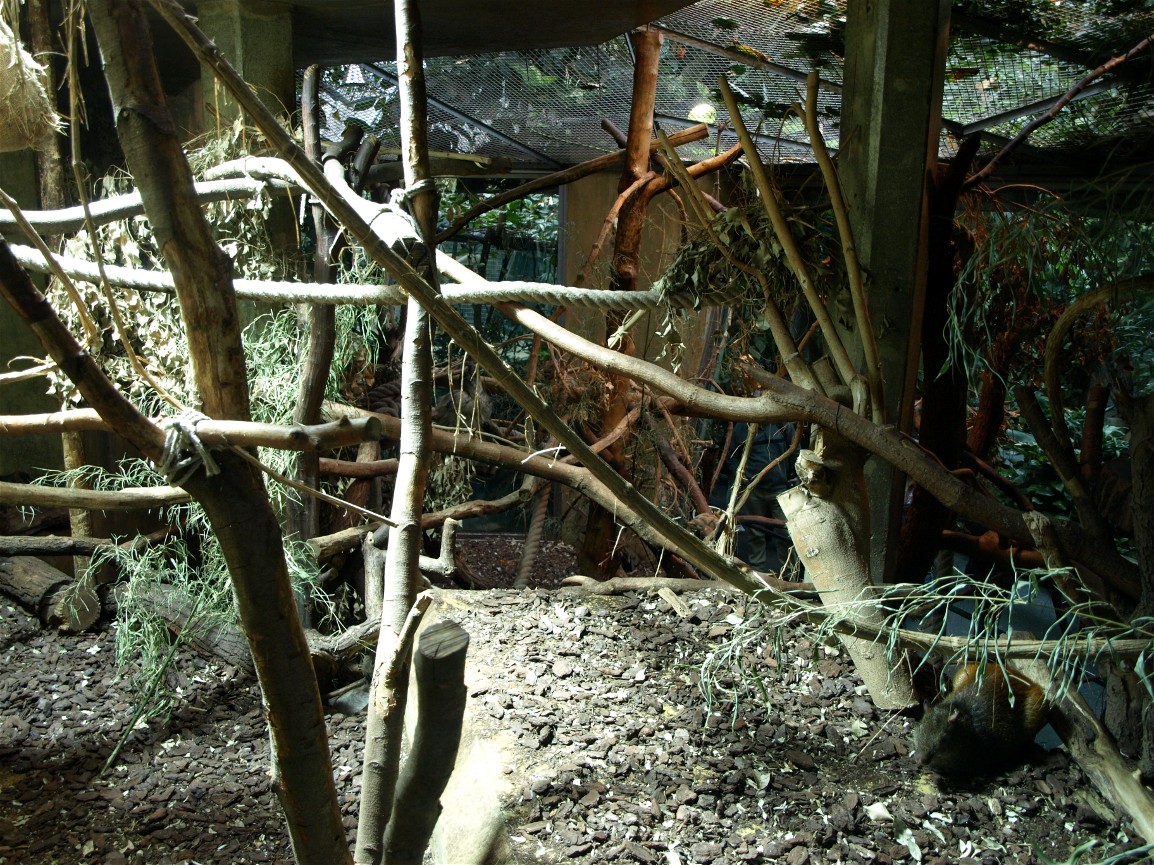 Hannover Zoo -Rainforest exhibit