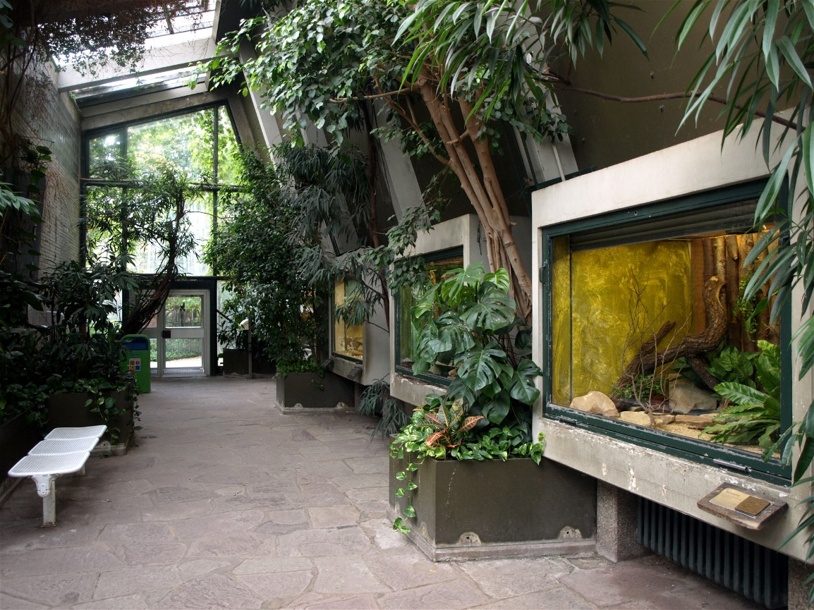 Hannover Zoo - Tropical house