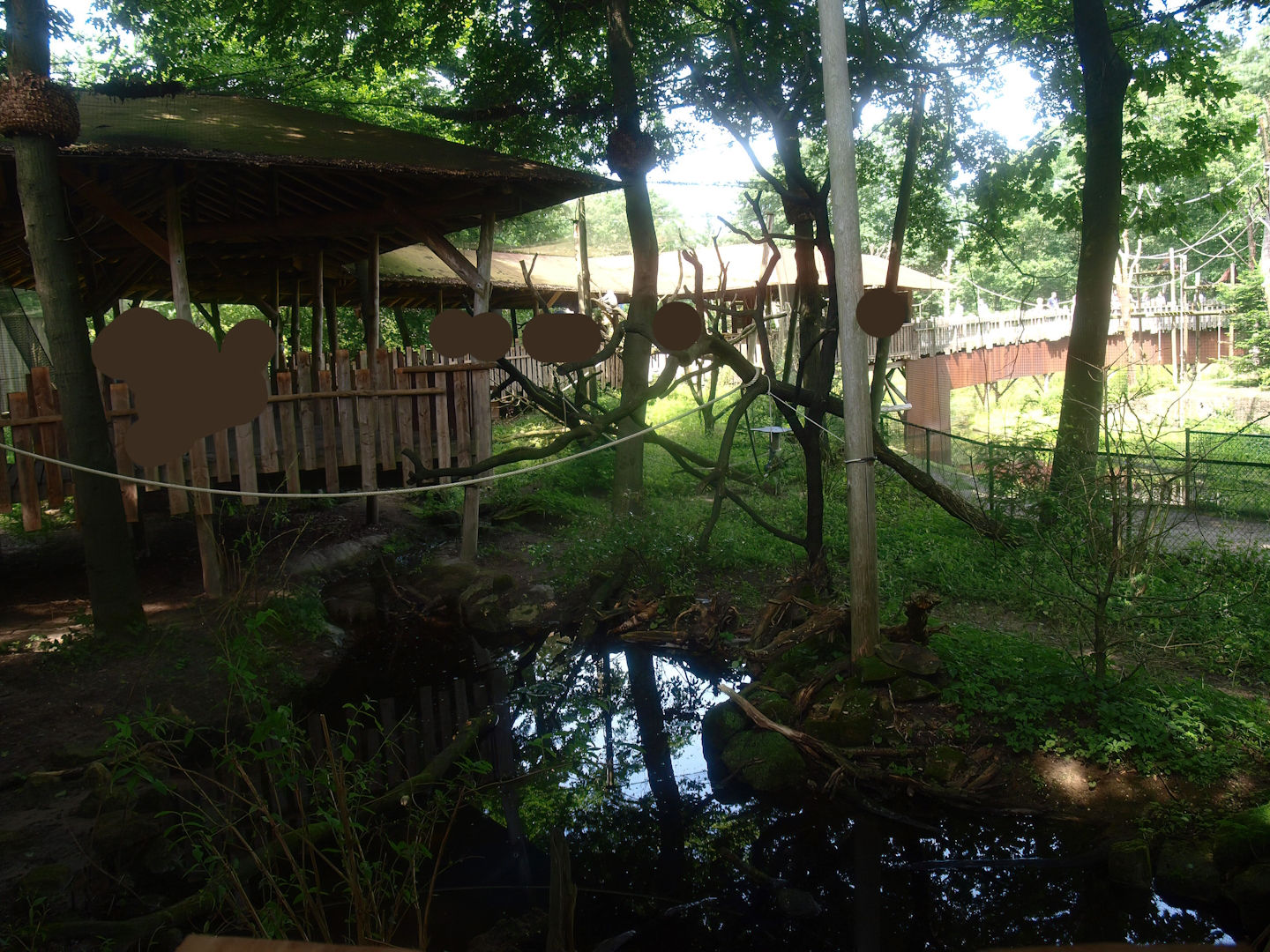 Hanuman langur exhibit, 2015-08-01