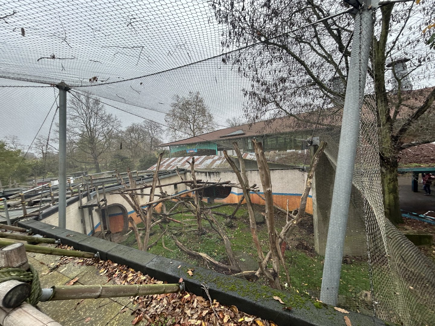 Hanuman Langur Exhibit - Land of the Lions